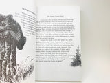 1989 My Spirit Soars by Chief Dan George