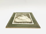 Antique Photo, Baby Portrait