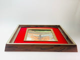 Vintage Plastic Velvet Framed Autumn Textured Print