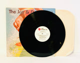 The Jan & Dean Story LP Record