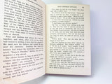 1924 The Porcelain Mask, A Detective Story by John Jay Chichester