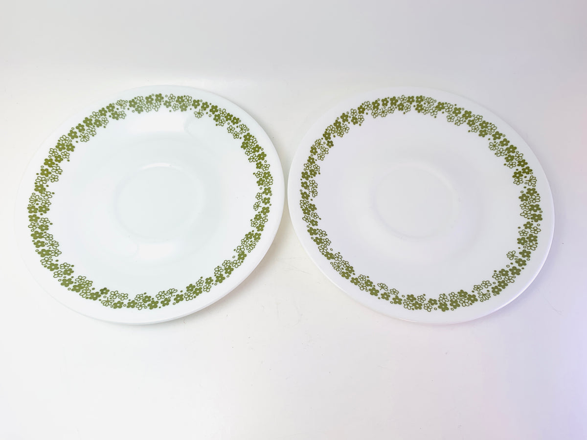 Crazy shop daisy plates