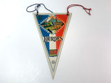 Vintage Lourdes France Pennant