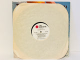 The Jan & Dean Story LP Record