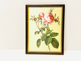 Vintage Silk Rose Framed Print