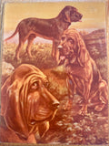 Small Vintage Bloodhound Print on Wood
