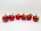 6 Vintage Sears Christmas Apples