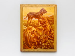Small Vintage Bloodhound Print on Wood
