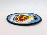 1972 170 TFS Tactical Fighter Squadron Embroidered Patch