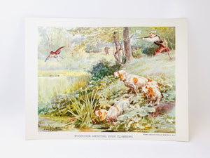 Woodcock Shooting Over Clumbers, Vintage Print from Frank Leslie’s Popular Monthly 1897