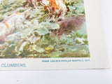 Woodcock Shooting Over Clumbers, Vintage Print from Frank Leslie’s Popular Monthly 1897