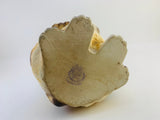 SOLD! 1960’s ESD Japan Porcelain Cocker Spaniel Planter